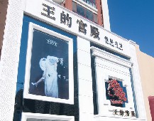 薇薇新娘王的宮殿