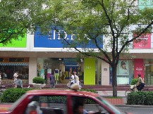 依迪菲女裝專賣店