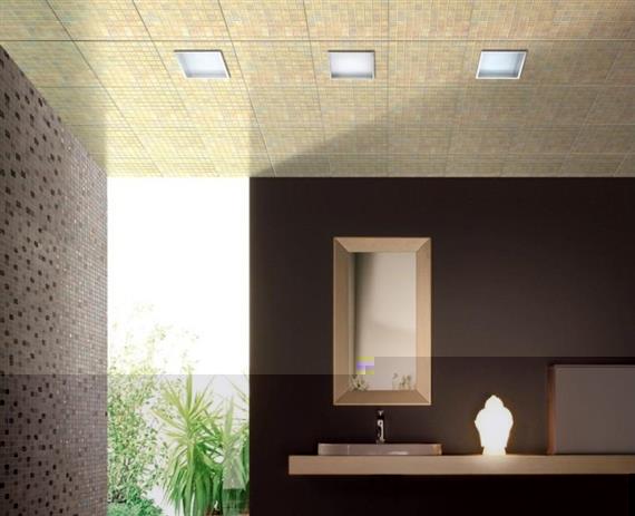 宝仕龙吊顶公共场所装饰