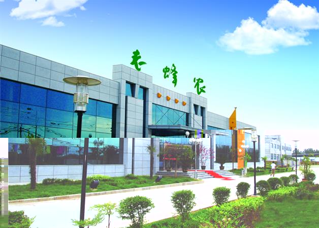 陕西老蜂农生物科技有限责任公司