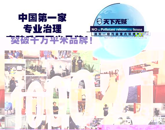 天下无贼专业治理