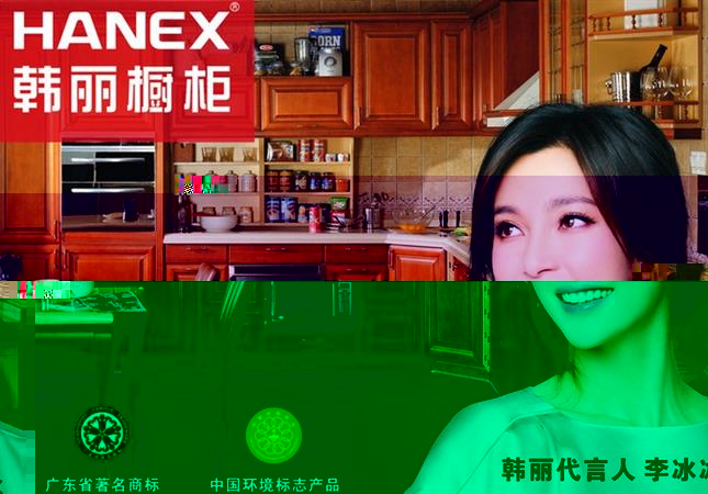 韩丽橱柜品牌形象大使：李冰冰小姐