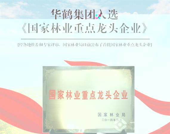华鹤木门品牌荣誉