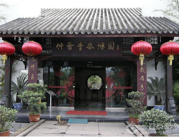 竹叶青茶旗舰店