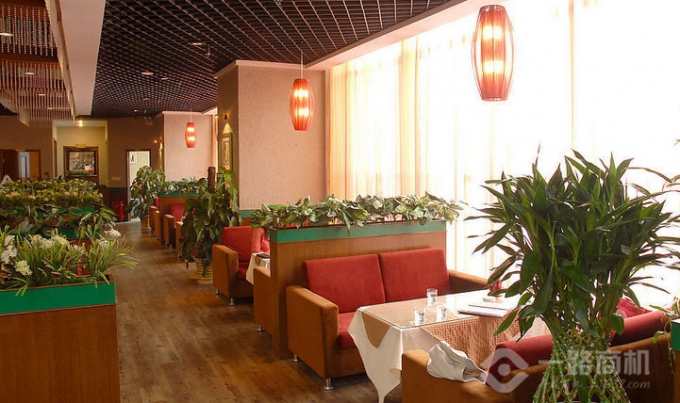 猫窝咖啡 猫窝咖啡