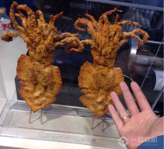 轰炸大鱿鱼加盟