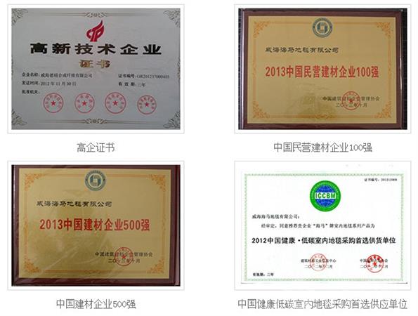 海马地毯荣誉资质