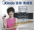 金帝集成环保灶加盟