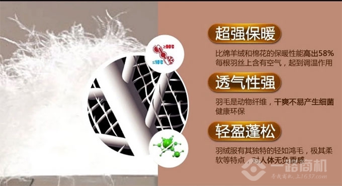 康博羽绒服质量 康博羽绒服质量