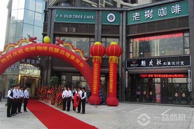 风雅老树咖啡加盟店