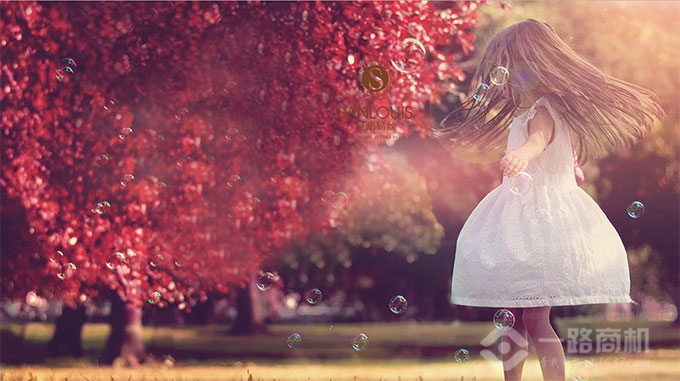 圣路易丝家纺 圣路易丝家纺