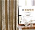 金蝉窗帘