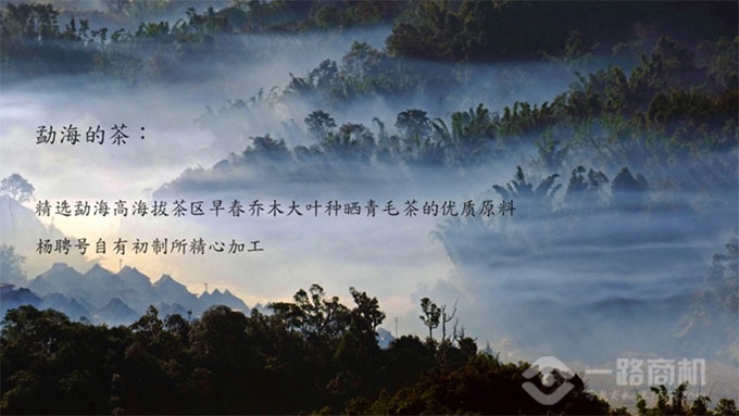 杨聘号茶叶种植基地 杨聘号茶叶种植基地