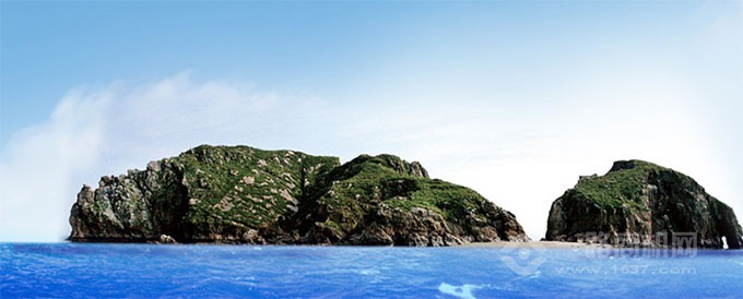 棒棰岛海参