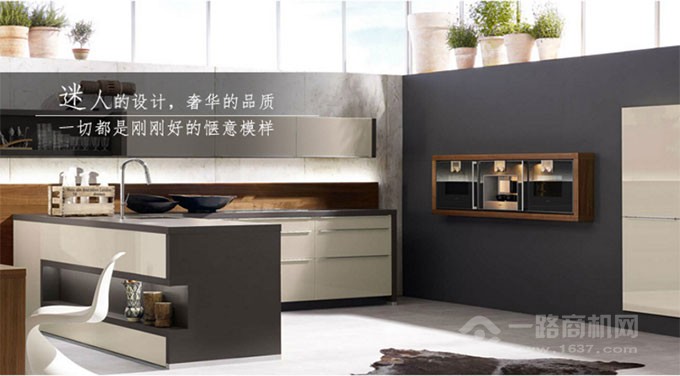 科宝博洛尼加盟