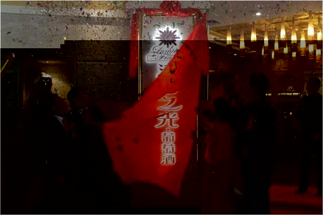 法國之光葡萄酒