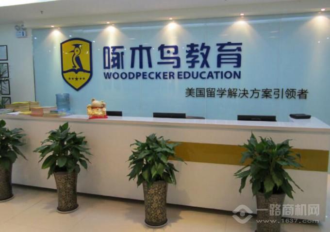 啄木鸟教育专注美国留学 啄木鸟教育专注美国留学