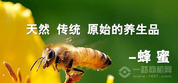 北京蜂业