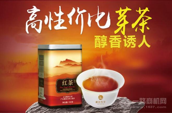 峨眉雪芽 峨眉雪芽