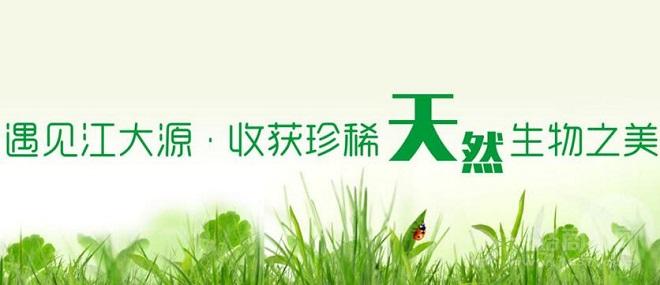 江大蜂業(yè)