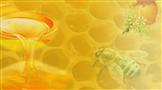 光临蜂蜜