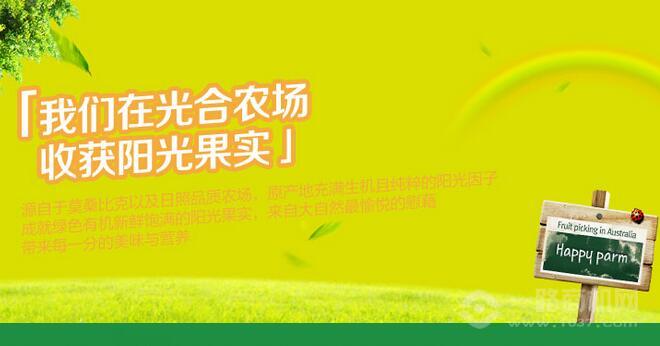 光合农场 光合农场