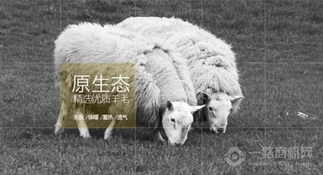 梦特丝威 梦特丝威