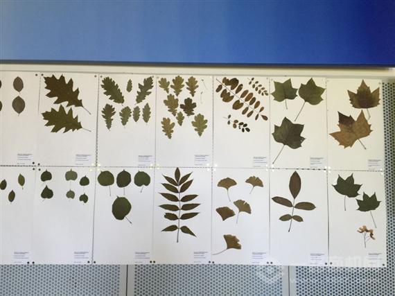 德国启恩儿童科学教育