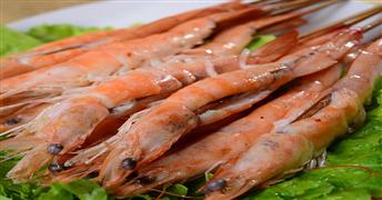 楊翔豆皮涮牛肚