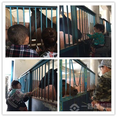 美吉姆國際早教