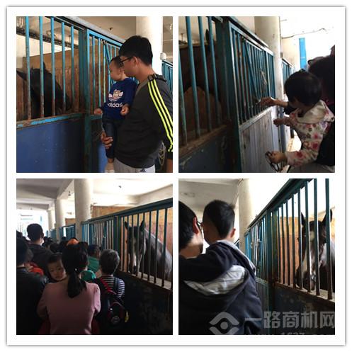 美吉姆國際早教