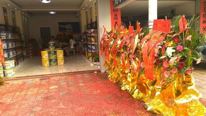 宝莹涂料 宝莹涂料