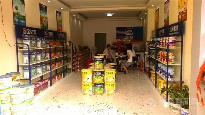 宝莹涂料 宝莹涂料