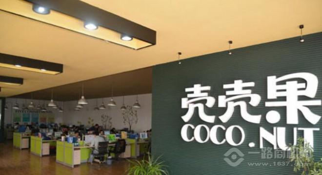 壳壳果 壳壳果