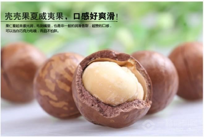 壳壳果 壳壳果