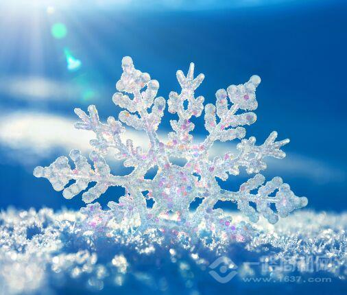 英倫羅孚 英倫羅孚