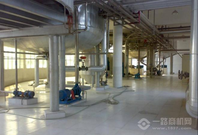 虎派啤酒 虎派啤酒