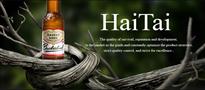 海态啤酒