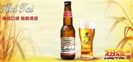 海态啤酒