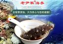 老尹家海参