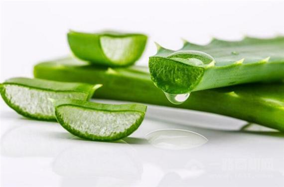 自然乐园芦荟胶