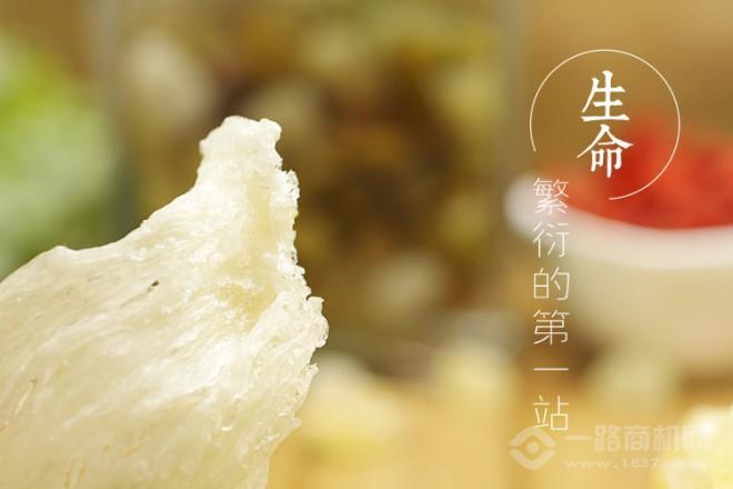 燕之初