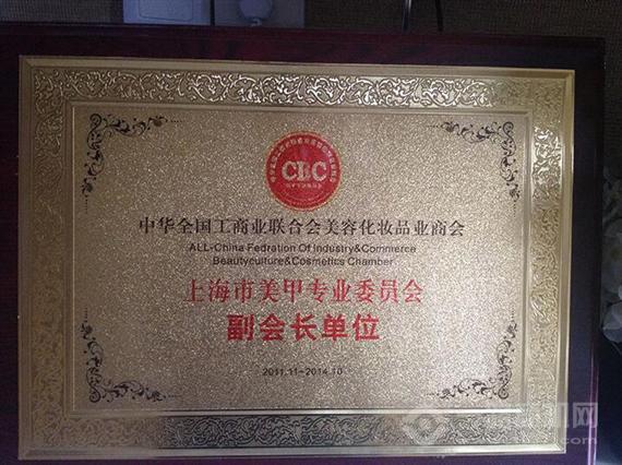 艾手艾脚甲文化