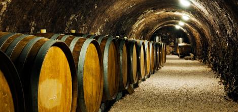 進(jìn)口葡萄酒加盟品牌應(yīng)該如何把握機(jī)會