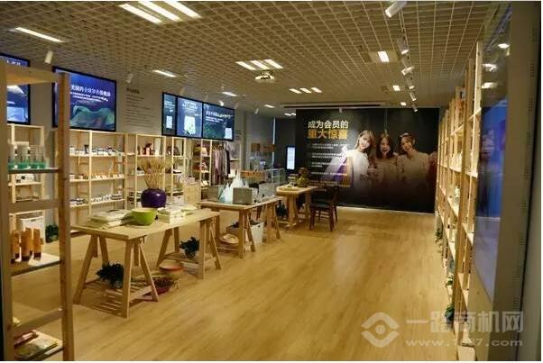 猫市五洲精选 猫市五洲精选