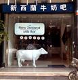 新西兰牛奶吧