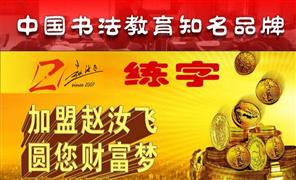 趙汝飛練字