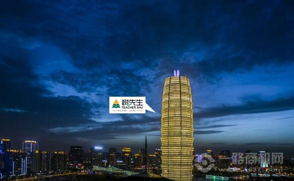 树先生教育加盟 树先生教育加盟