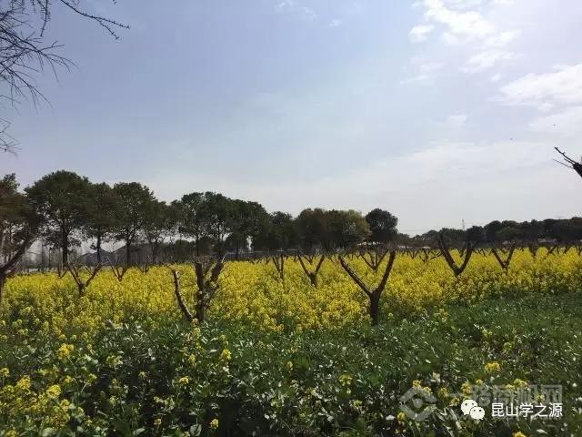 学之源