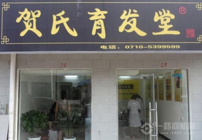 贺氏育发堂加盟